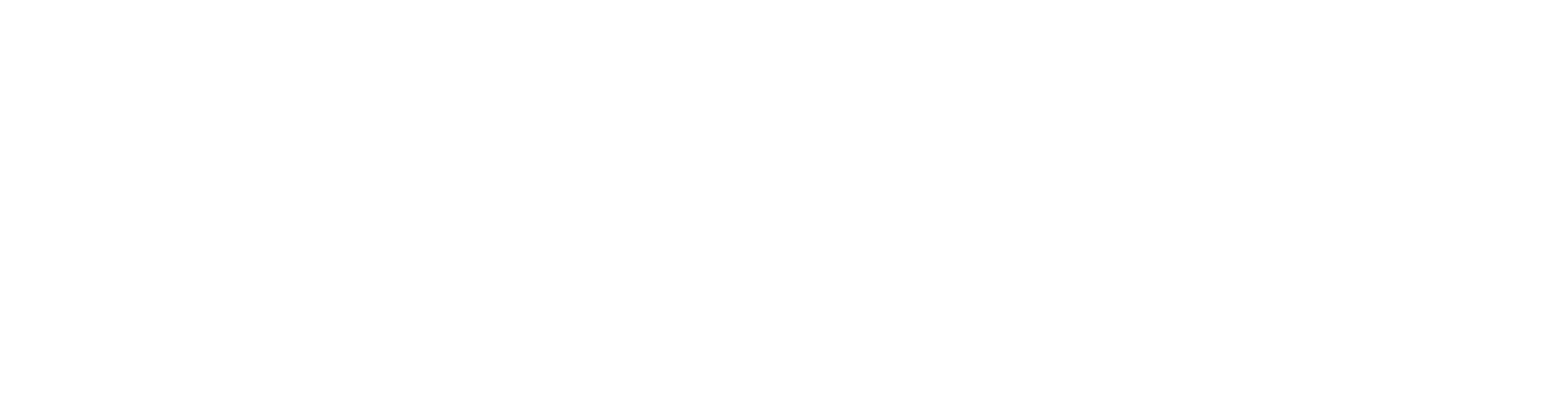 Rolstoeltaxi Amsterdam Service